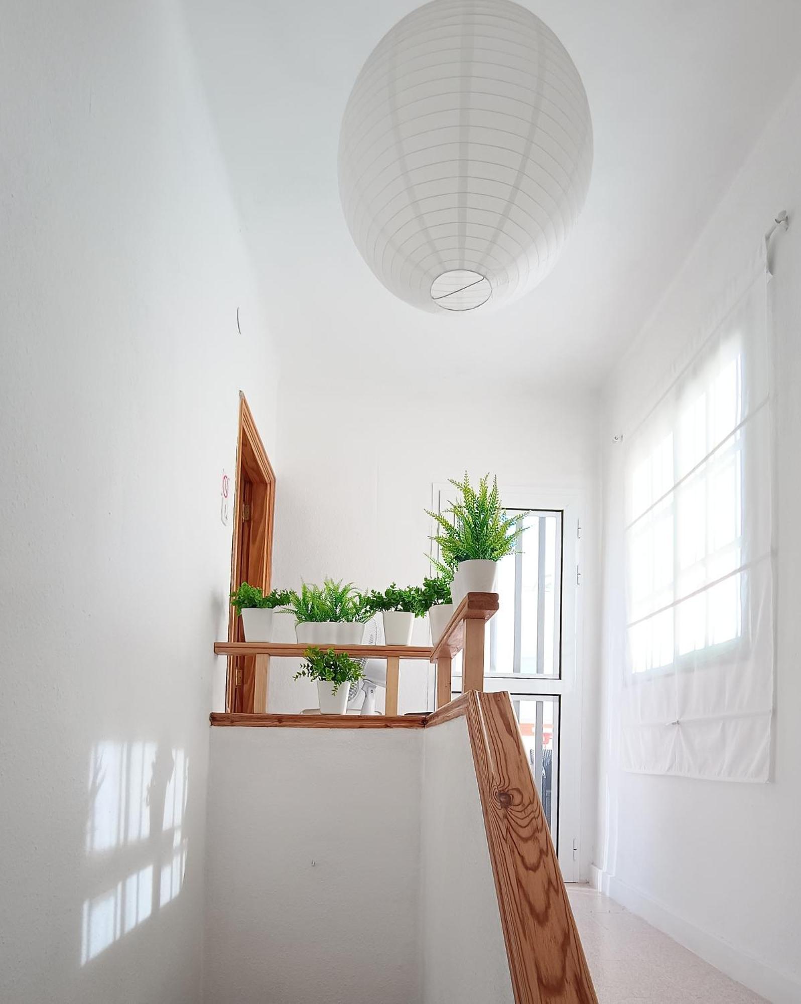 Center Santa Cruz, Alojamiento Centrico Con Gran Terraza, Cocina , Salon Y Banos, Todo Privado Ngoại thất bức ảnh