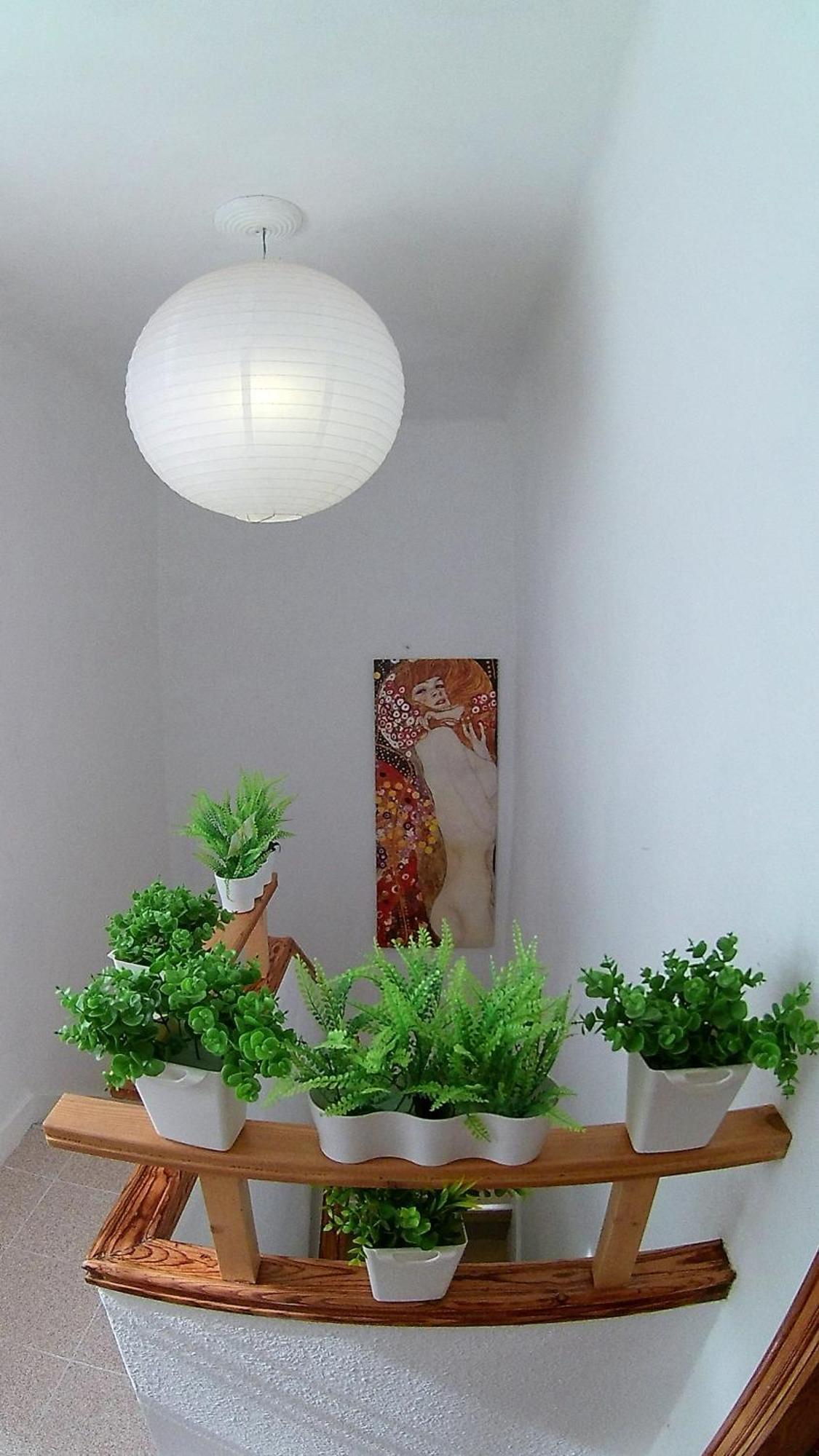 Center Santa Cruz, Alojamiento Centrico Con Gran Terraza, Cocina , Salon Y Banos, Todo Privado Ngoại thất bức ảnh